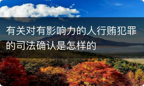 有关对有影响力的人行贿犯罪的司法确认是怎样的