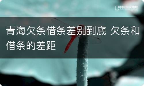 青海欠条借条差别到底 欠条和借条的差距