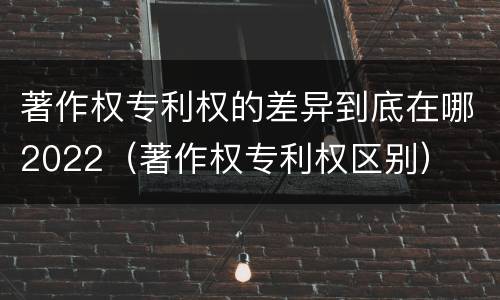 著作权专利权的差异到底在哪2022（著作权专利权区别）