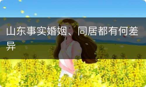 山东事实婚姻、同居都有何差异