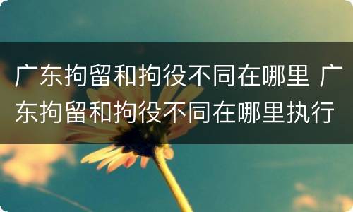 广东拘留和拘役不同在哪里 广东拘留和拘役不同在哪里执行