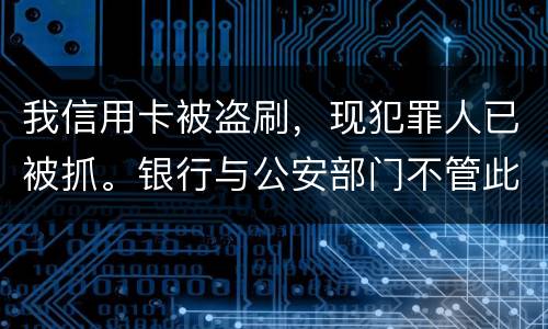 我信用卡被盗刷，现犯罪人已被抓。银行与公安部门不管此事。我如何能取回款项呢项呢