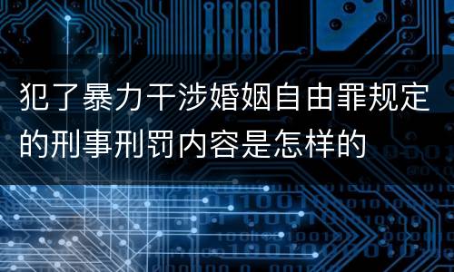 犯了暴力干涉婚姻自由罪规定的刑事刑罚内容是怎样的