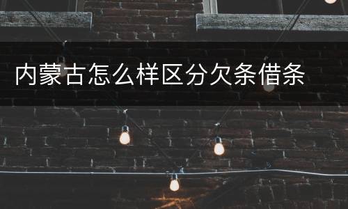内蒙古怎么样区分欠条借条