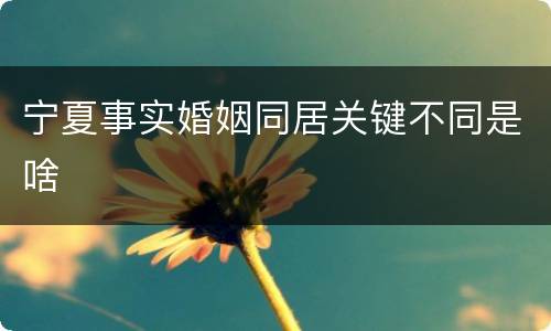 宁夏事实婚姻同居关键不同是啥