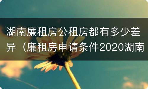 湖南廉租房公租房都有多少差异（廉租房申请条件2020湖南）