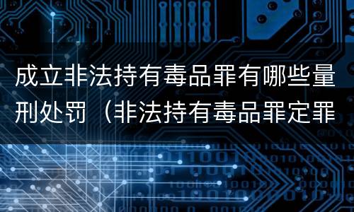 成立非法持有毒品罪有哪些量刑处罚（非法持有毒品罪定罪量刑）