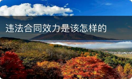 违法合同效力是该怎样的