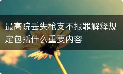 最高院丢失枪支不报罪解释规定包括什么重要内容