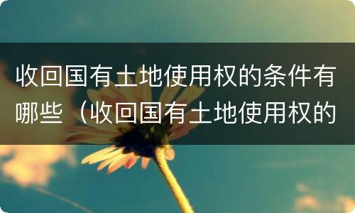 收回国有土地使用权的条件有哪些（收回国有土地使用权的条件有哪些呢）