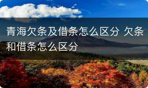 青海欠条及借条怎么区分 欠条和借条怎么区分