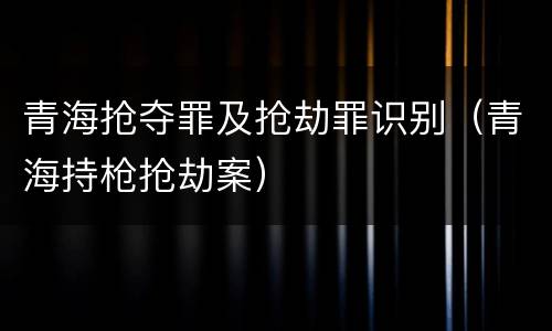 青海抢夺罪及抢劫罪识别（青海持枪抢劫案）