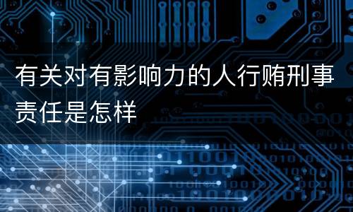有关对有影响力的人行贿刑事责任是怎样