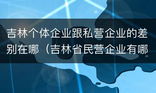吉林个体企业跟私营企业的差别在哪（吉林省民营企业有哪些）