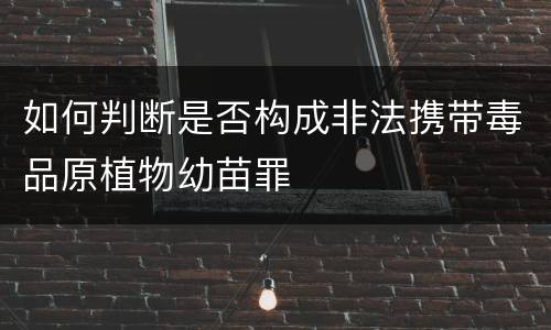 如何判断是否构成非法携带毒品原植物幼苗罪