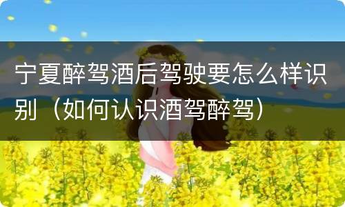 宁夏醉驾酒后驾驶要怎么样识别（如何认识酒驾醉驾）