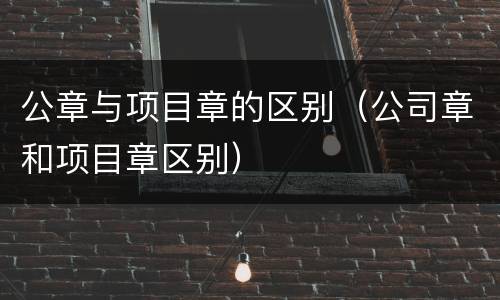 公章与项目章的区别（公司章和项目章区别）