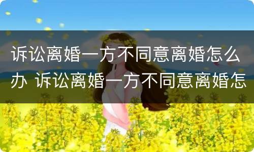 诉讼离婚一方不同意离婚怎么办 诉讼离婚一方不同意离婚怎么办呢