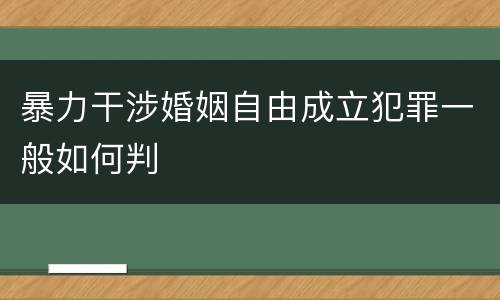 暴力干涉婚姻自由成立犯罪一般如何判