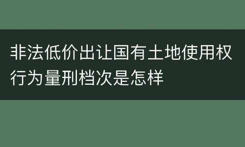 非法低价出让国有土地使用权行为量刑档次是怎样