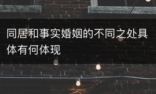 同居和事实婚姻的不同之处具体有何体现