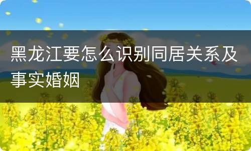 黑龙江要怎么识别同居关系及事实婚姻