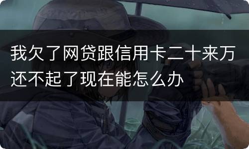 我欠了网贷跟信用卡二十来万还不起了现在能怎么办