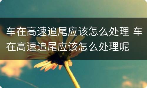 车在高速追尾应该怎么处理 车在高速追尾应该怎么处理呢