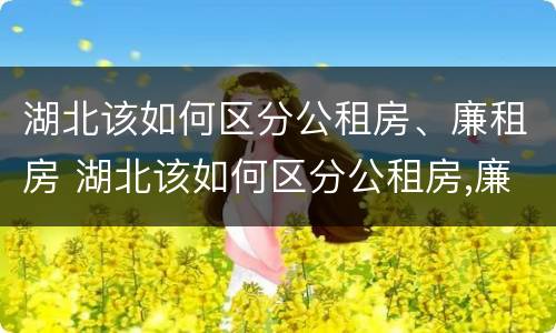 湖北该如何区分公租房、廉租房 湖北该如何区分公租房,廉租房呢