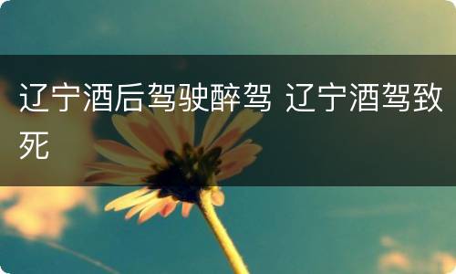 辽宁酒后驾驶醉驾 辽宁酒驾致死