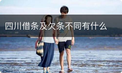 四川借条及欠条不同有什么