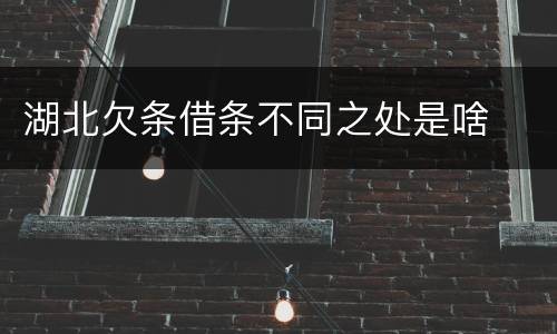 湖北欠条借条不同之处是啥