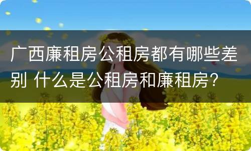 广西廉租房公租房都有哪些差别 什么是公租房和廉租房?