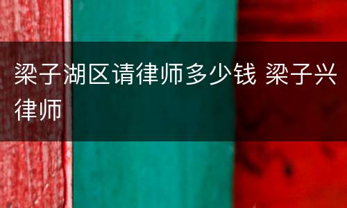 梁子湖区请律师多少钱 梁子兴律师