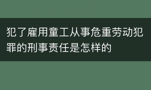 犯了雇用童工从事危重劳动犯罪的刑事责任是怎样的