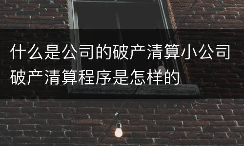 什么是公司的破产清算小公司破产清算程序是怎样的