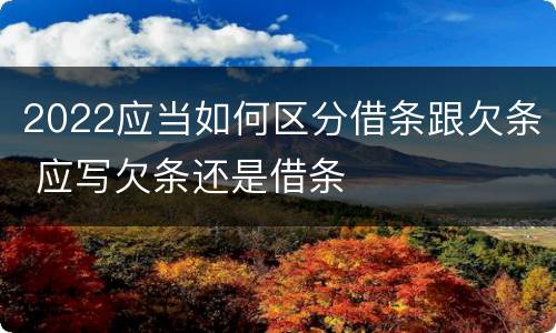 2022应当如何区分借条跟欠条 应写欠条还是借条