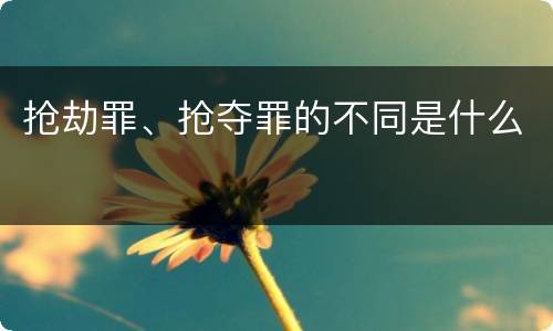 抢劫罪、抢夺罪的不同是什么