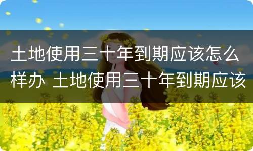 土地使用三十年到期应该怎么样办 土地使用三十年到期应该怎么样办手续