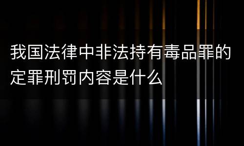 我国法律中非法持有毒品罪的定罪刑罚内容是什么