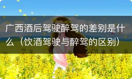 广西酒后驾驶醉驾的差别是什么（饮酒驾驶与醉驾的区别）