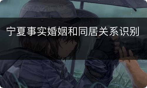 宁夏事实婚姻和同居关系识别