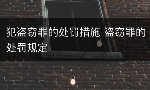 犯盗窃罪的处罚措施 盗窃罪的处罚规定