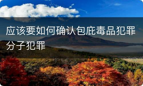 应该要如何确认包庇毒品犯罪分子犯罪