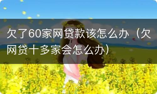 欠了60家网贷款该怎么办（欠网贷十多家会怎么办）