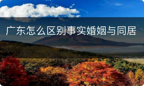 广东怎么区别事实婚姻与同居