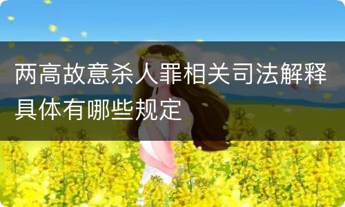 两高故意杀人罪相关司法解释具体有哪些规定