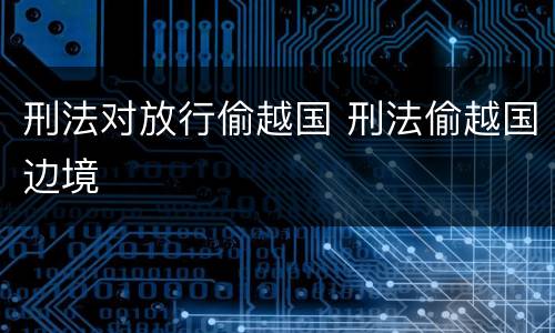 刑法对放行偷越国 刑法偷越国边境