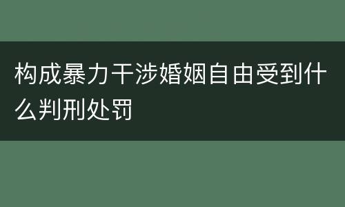 构成暴力干涉婚姻自由受到什么判刑处罚
