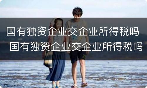 国有独资企业交企业所得税吗 国有独资企业交企业所得税吗多少